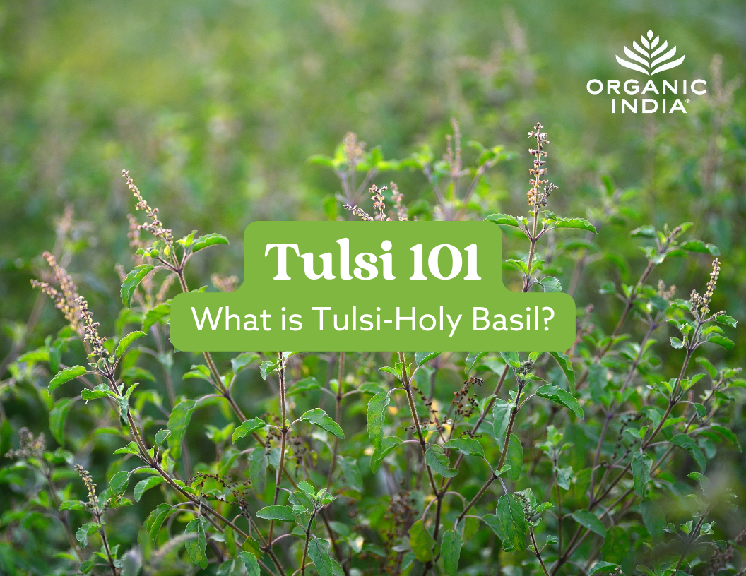 Tulsi 101 eBook