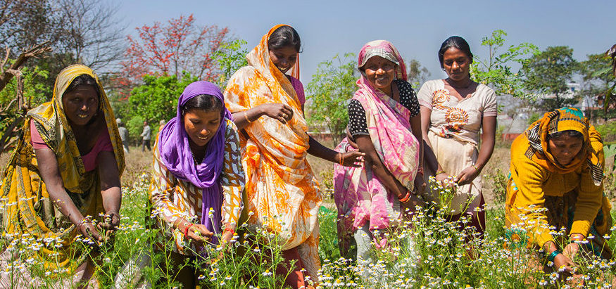 Can Ethical Enterprises Exist in the Modern World?