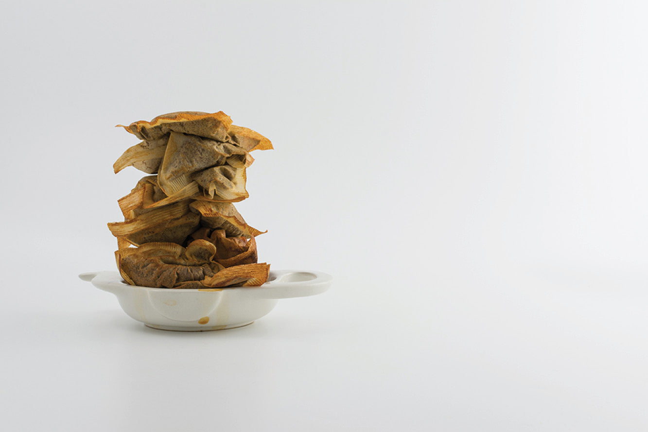 20 Ways to Reuse a Tulsi Tea Bag (Yes, Really!)