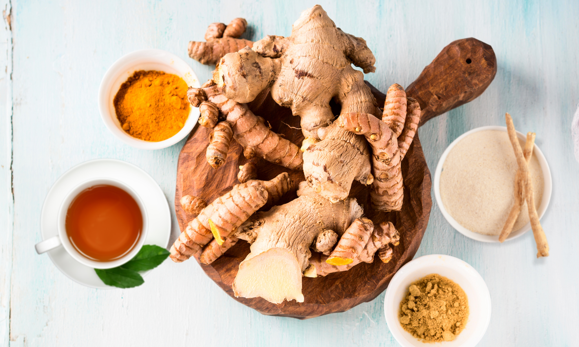 4 Herbal Allies for Winter Wellness