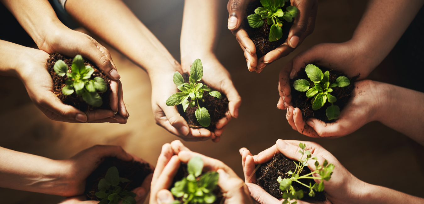 Environmentally Sustainable Business Practices