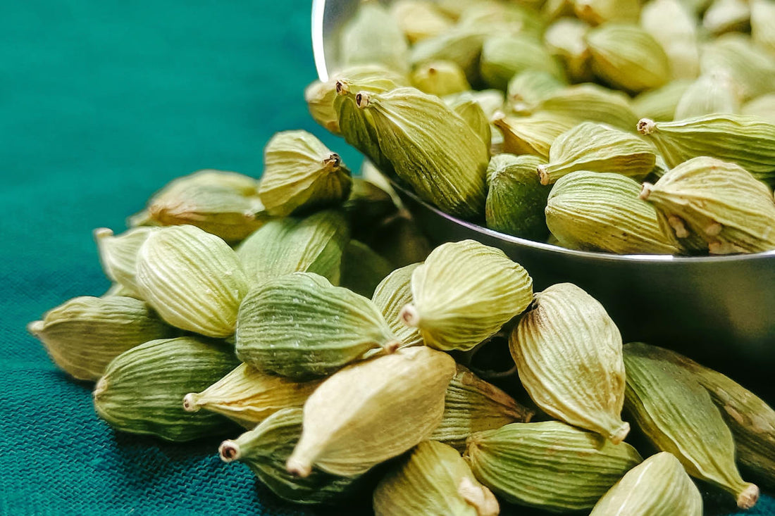 5 Surprising Cardamom Benefits: From Breathing to Beauty