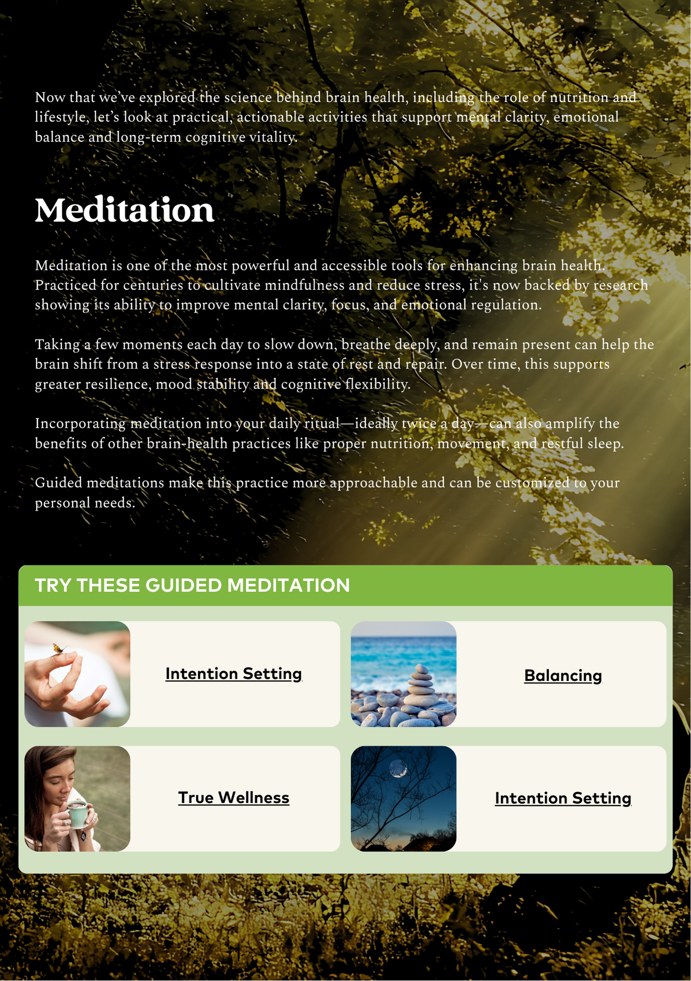 Nootropic Ebook by Organic India Australia. Certified Organic Herbal Teas and supplements