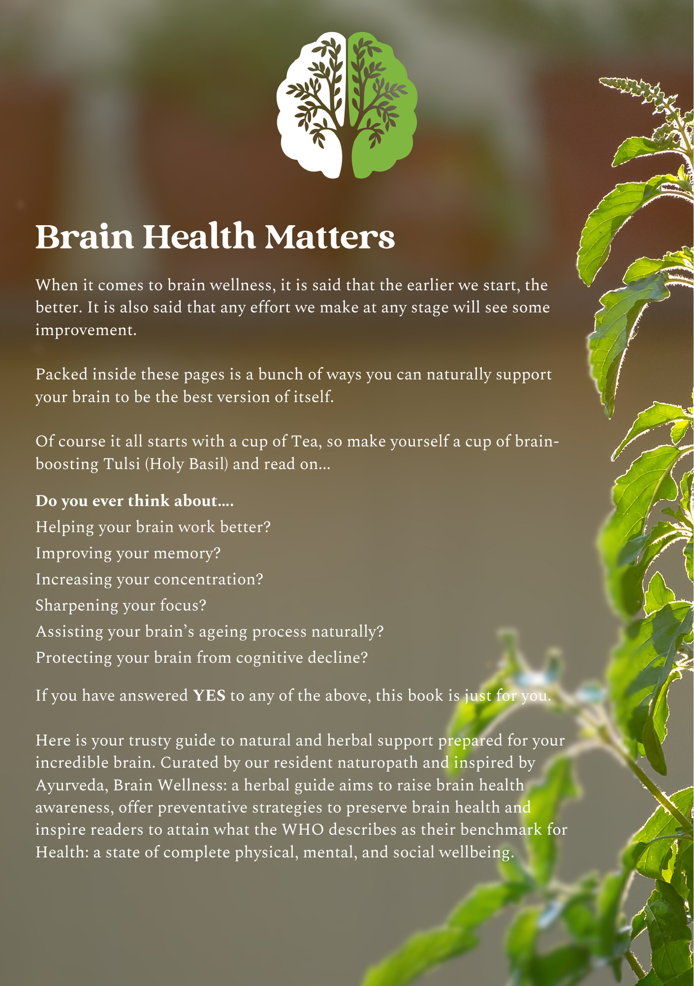 Nootropic Ebook by Organic India Australia. Certified Organic Herbal Teas and supplements