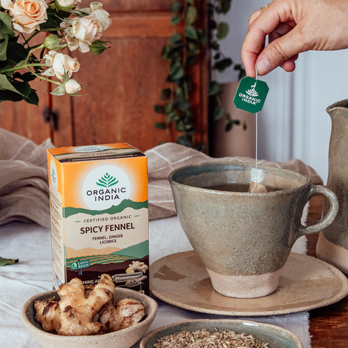 Spicy Fennel OIHerbals Certified Organic Herbal Teas and Supplements