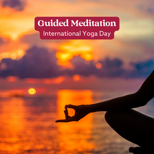 International Yoga Day Guided Meditation Organic India Australia Certified Organic Herbal Teas and Supplements