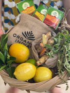 Tulsi Ginger organicindiaau Certified Organic Herbal Teas and Supplements