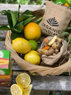 Tulsi Turmeric Ginger organicindiaau Certified Organic Herbal Teas and Supplements