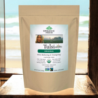 Tulsi Original Tea - Bulk (454g) organicindiaau Certified Organic Herbal Teas and Supplements