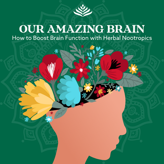 Our Amazing Brain eBook