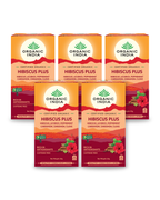 Hibiscus Plus Bundle (5 Packs) - 5 packs
