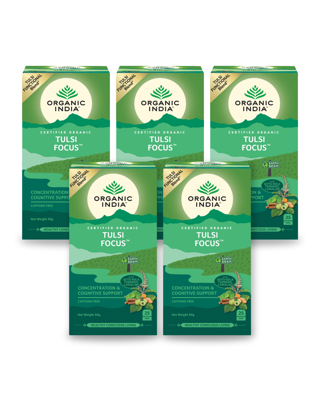 Tulsi FOCUS Bundle (5 Packs) - 5 packs