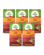 Tulsi Ginger Bundle (5 Packs) - 5 packs