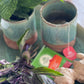Tulsi True Wellness Collection, Tulsi tea, organic tea, tulsi, herbal tea, herbal infusions, sleep tea, turmeric tea, ashwagandha, holy basil, holy basil tea, green tea, lemon ginger tea, tea for sleep, moringa, ORGANIC INDIA, ORGANIC INDIA Australia, herbal supplements